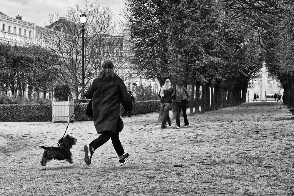 Photo #13471358