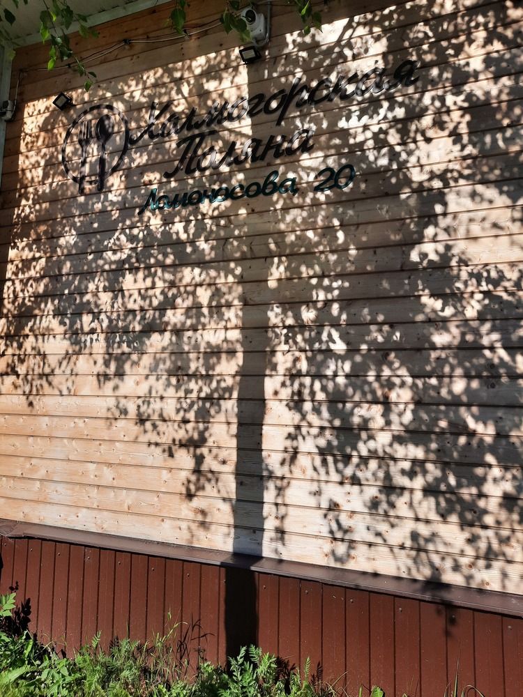 Photograph by Елена Пикатова