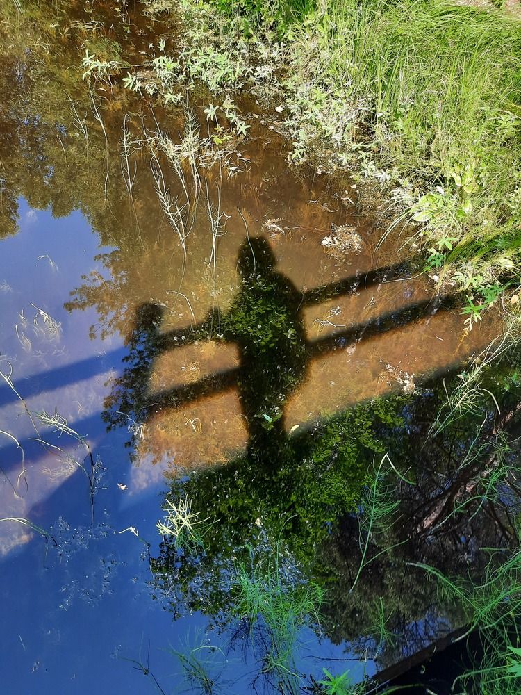 Photograph by Елена Пикатова