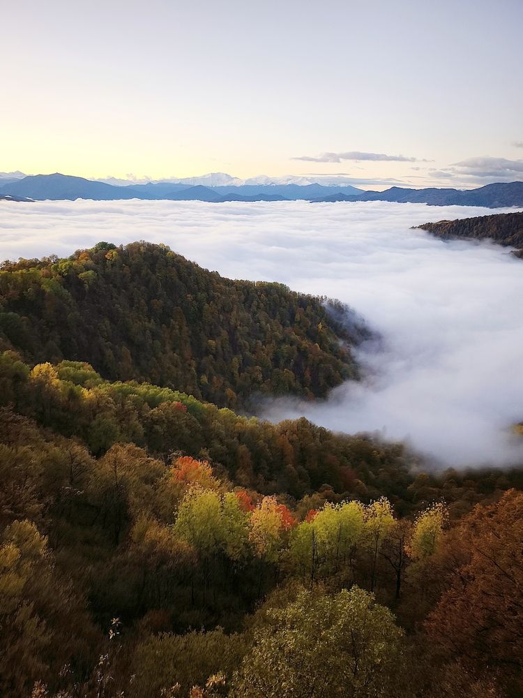Photograph by Полина Сульженко