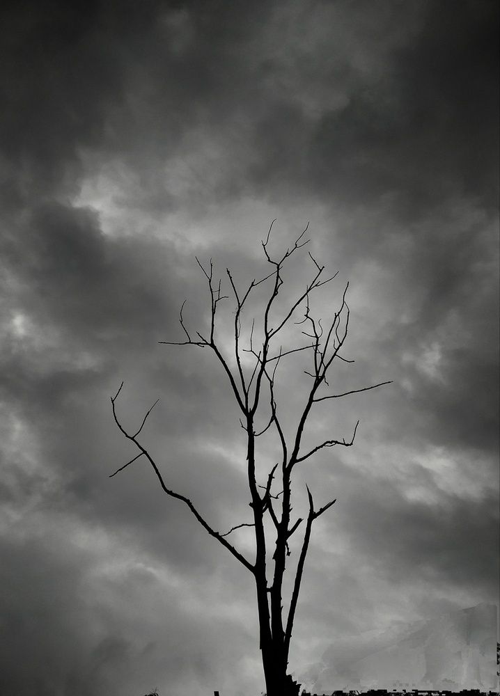 Photograph by Uthso Bordhan