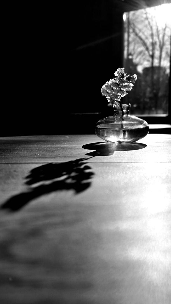 Photograph by Анна Семенова