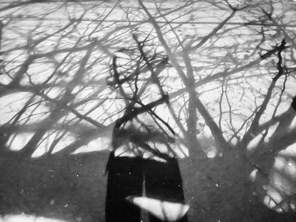 Photograph by Гиорги Сихарулидзе
