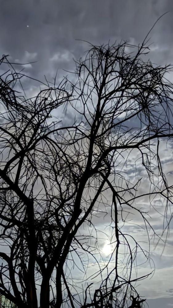 Photograph by Waleed Yousuf Alwahaibi