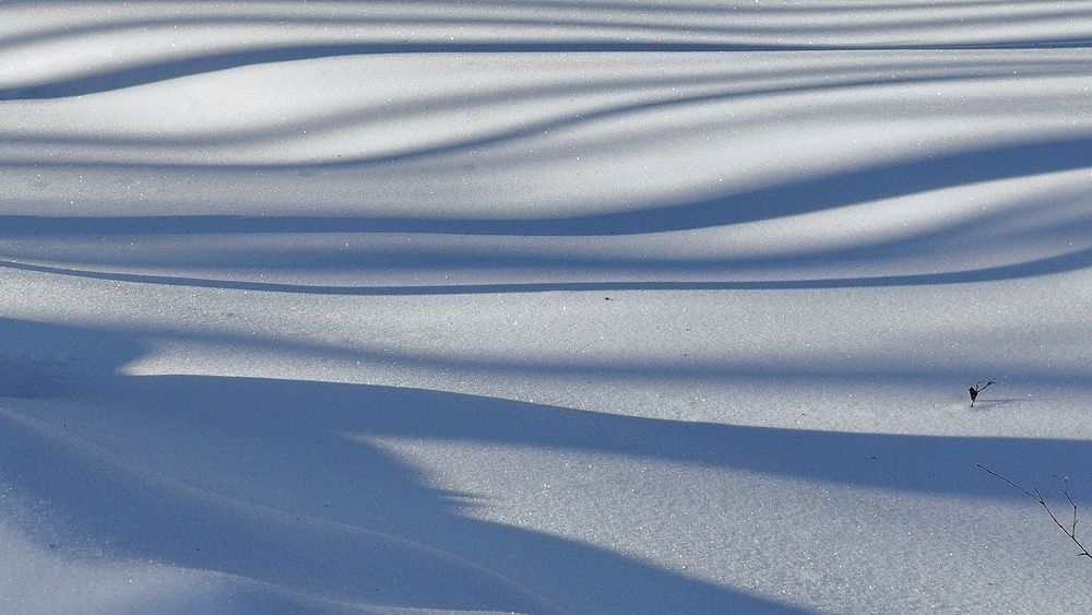 Photograph by Ирина Корабельникова