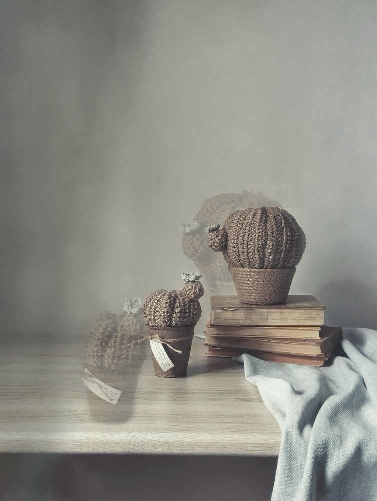 Photograph by Анна Серянина