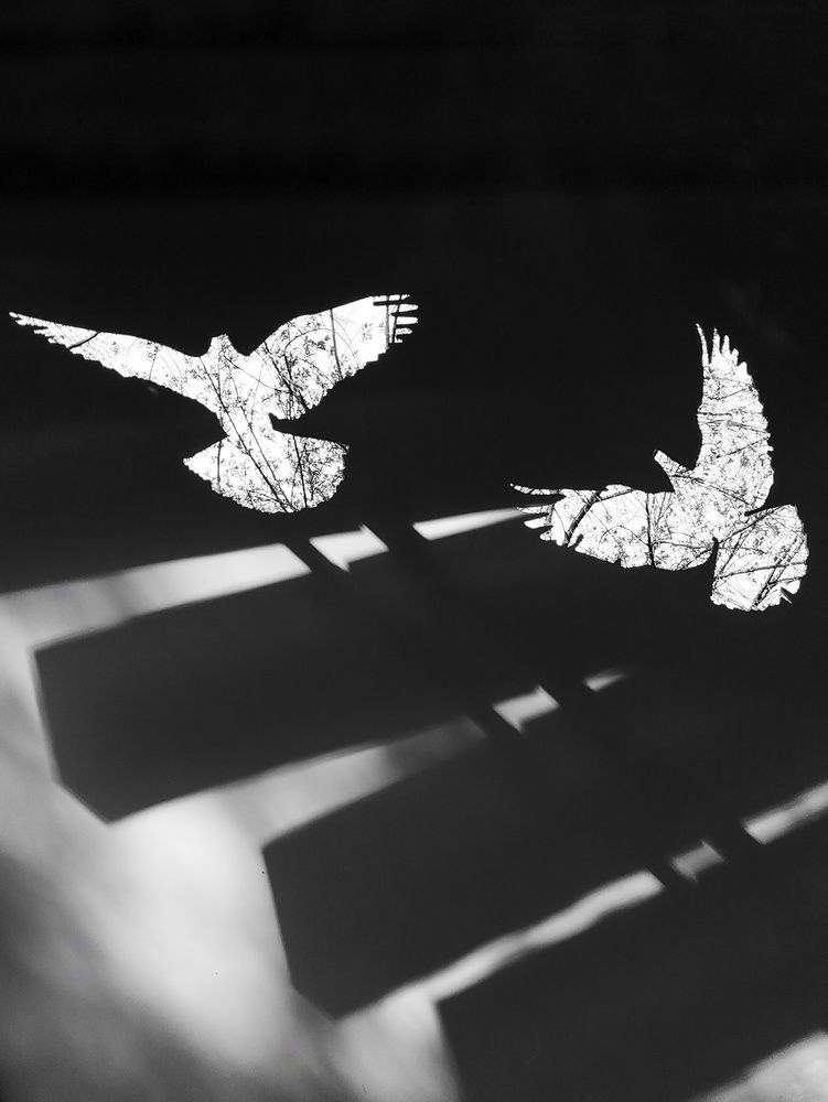 Photograph by Ирина Корабельникова