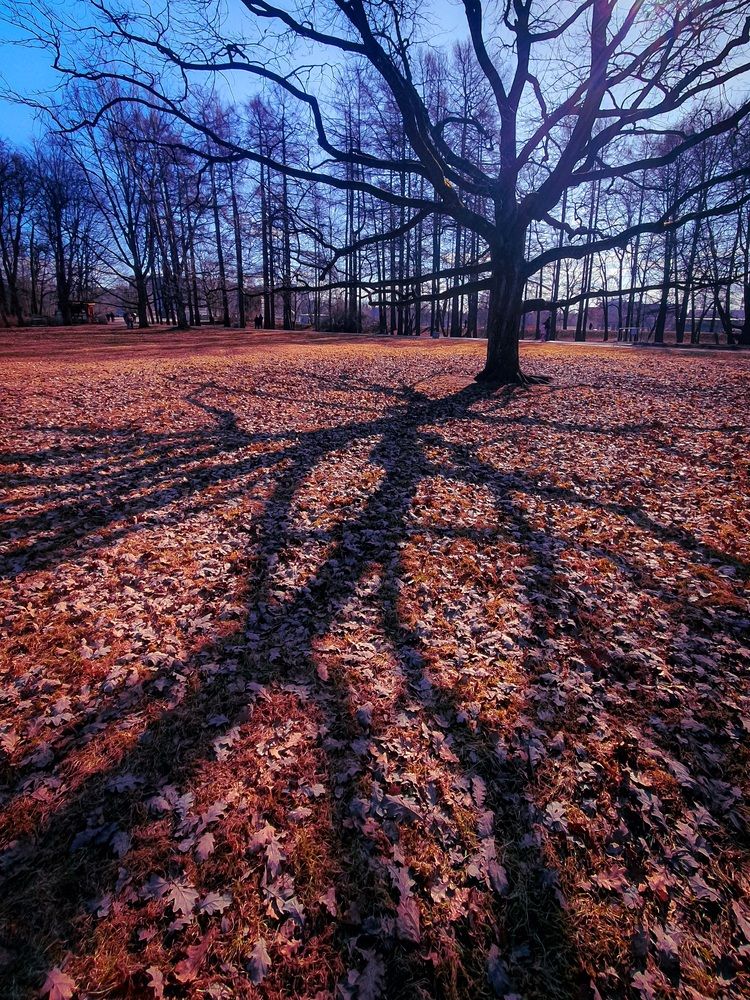 Photograph by Inna Evseeva