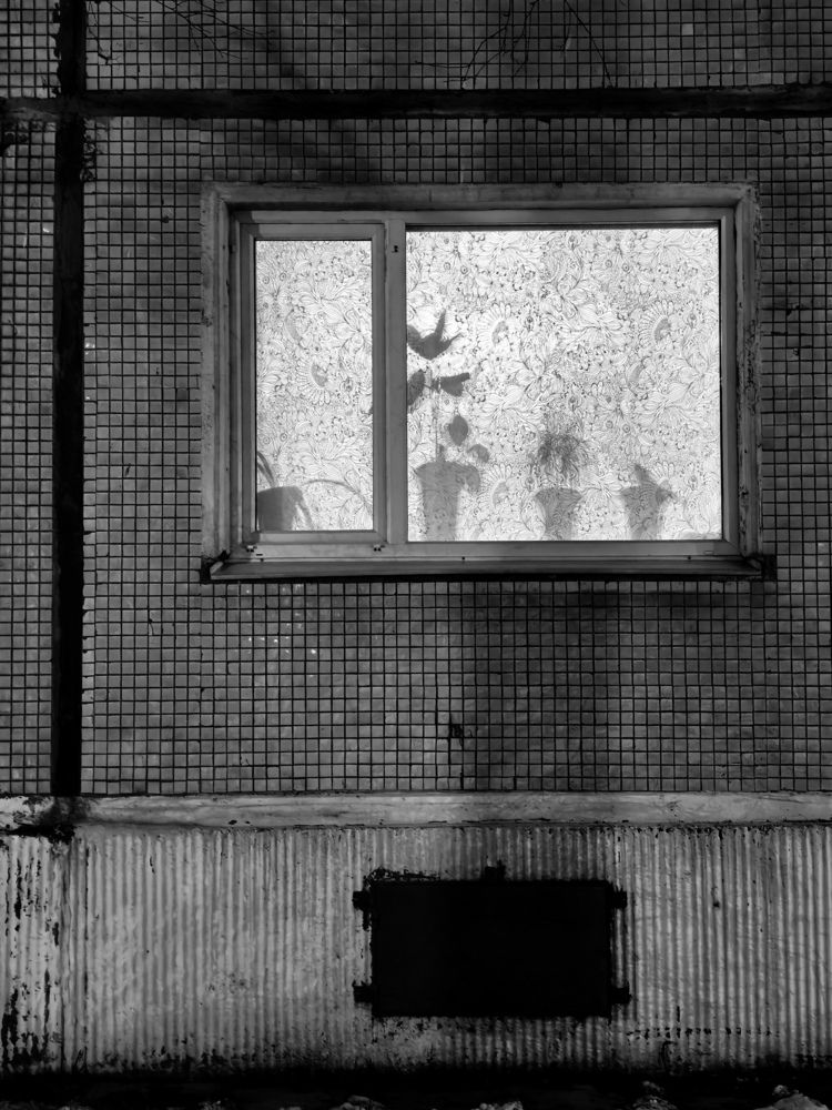 Photograph by Дина Калинина