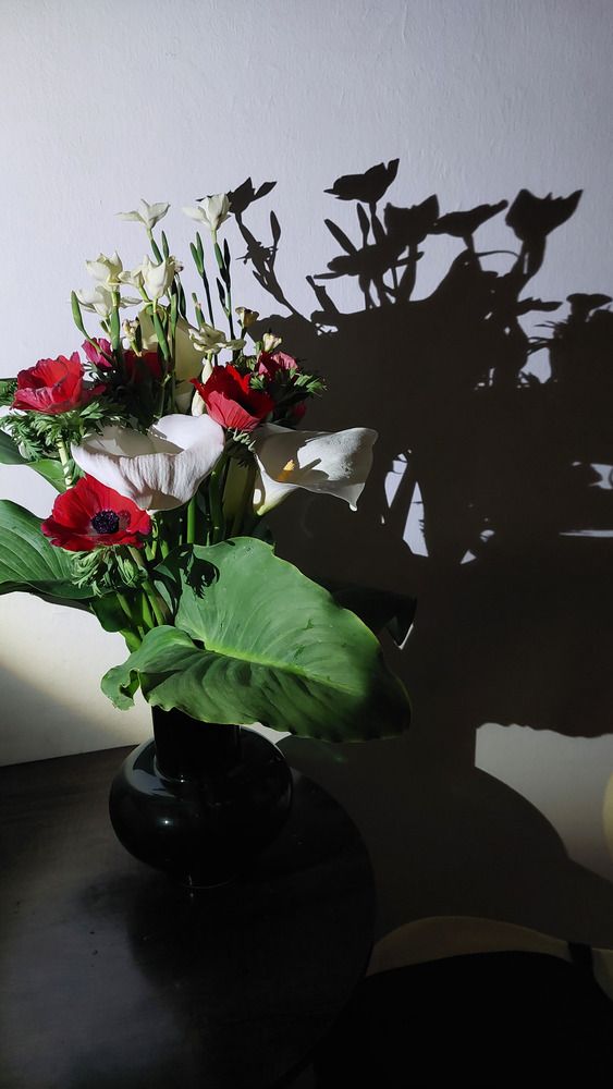 Photograph by Marharyta Khodas