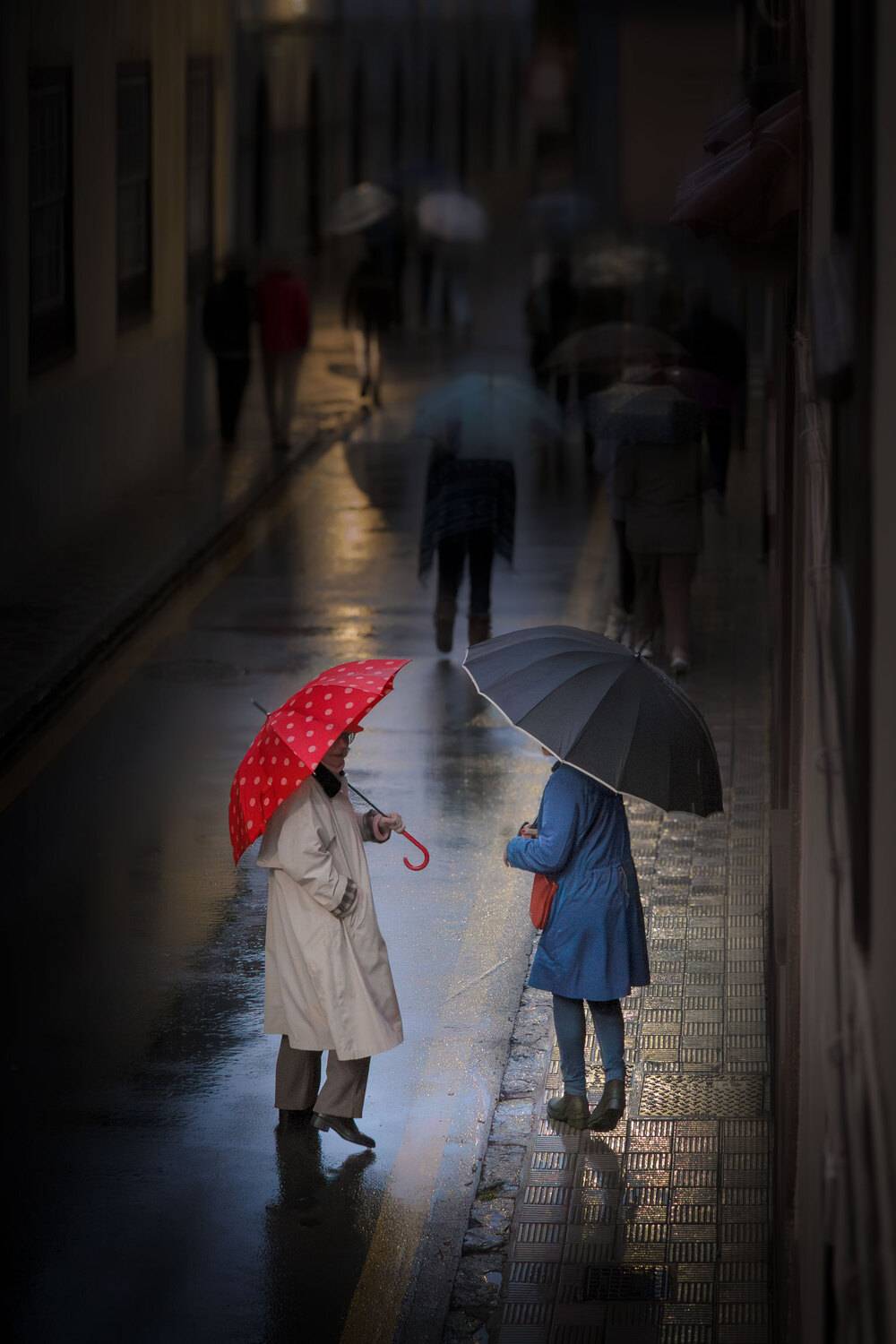 Photo #13472318