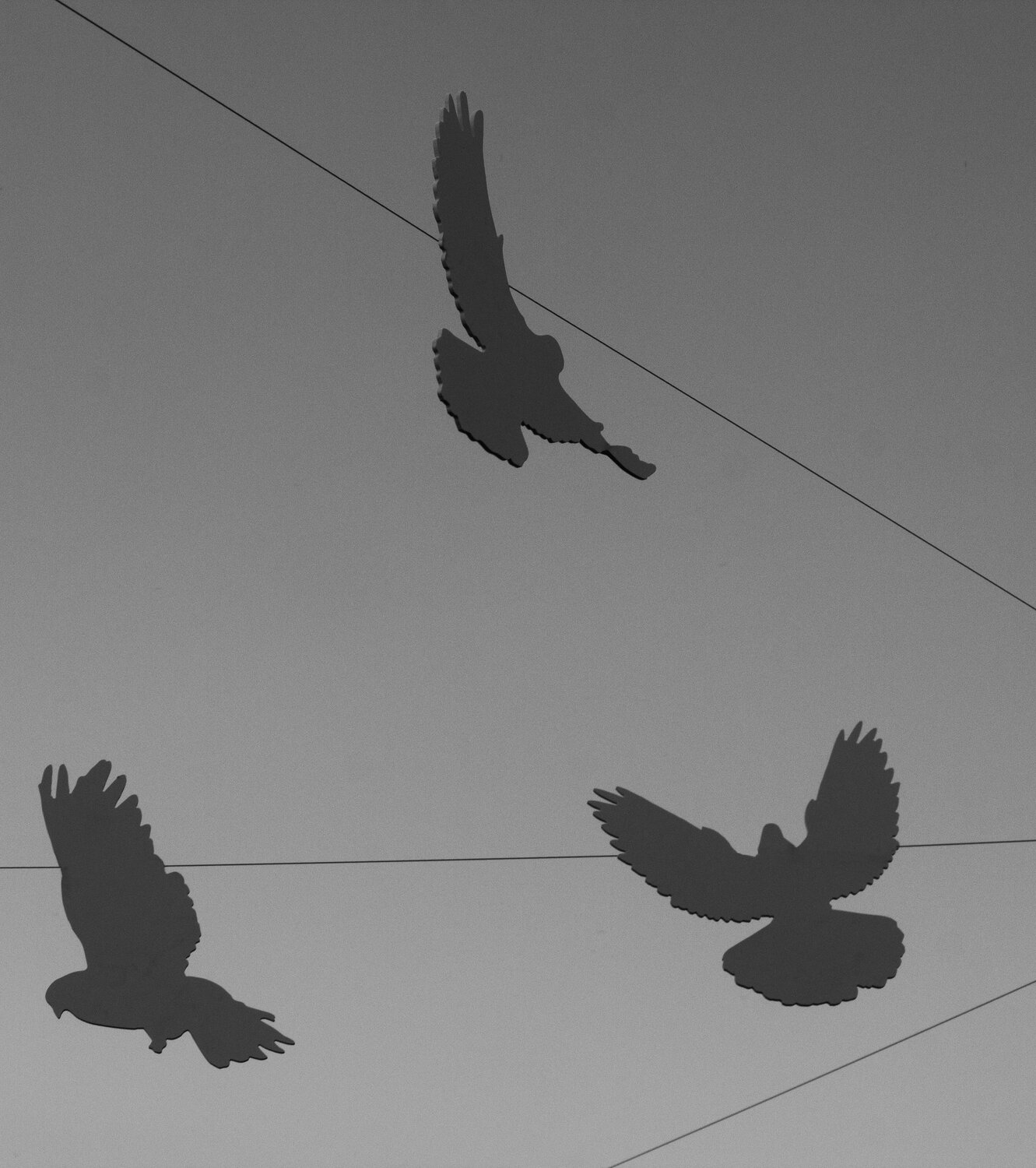 Photo #13472320