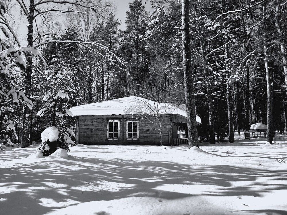 Photograph by Елена Пикатова