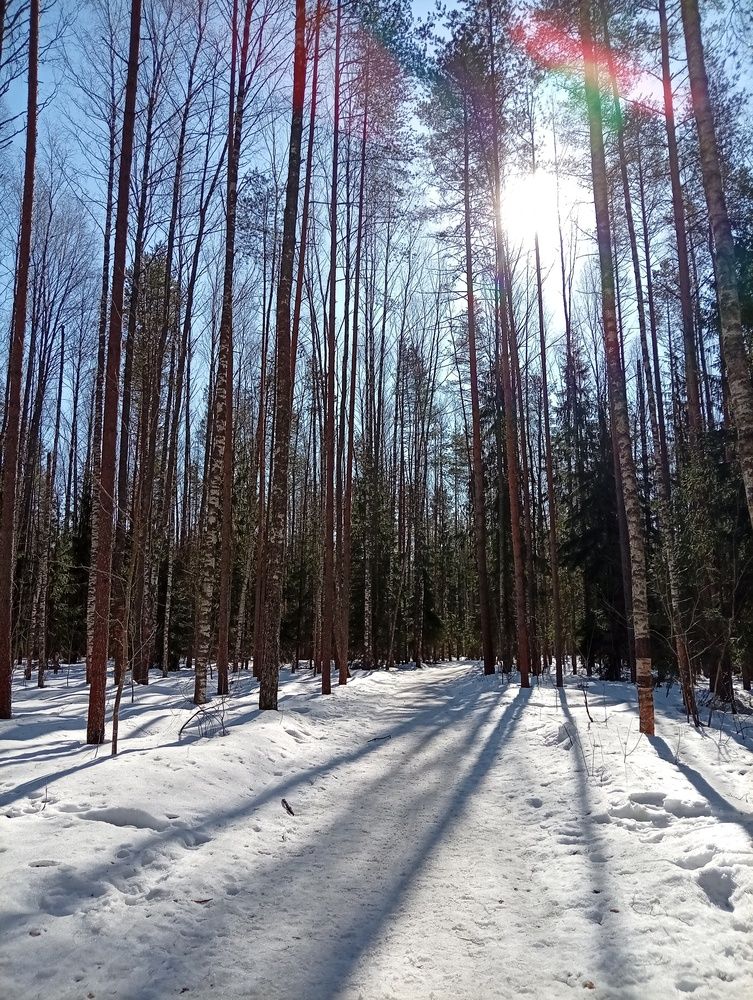 Photograph by Елена Малкова