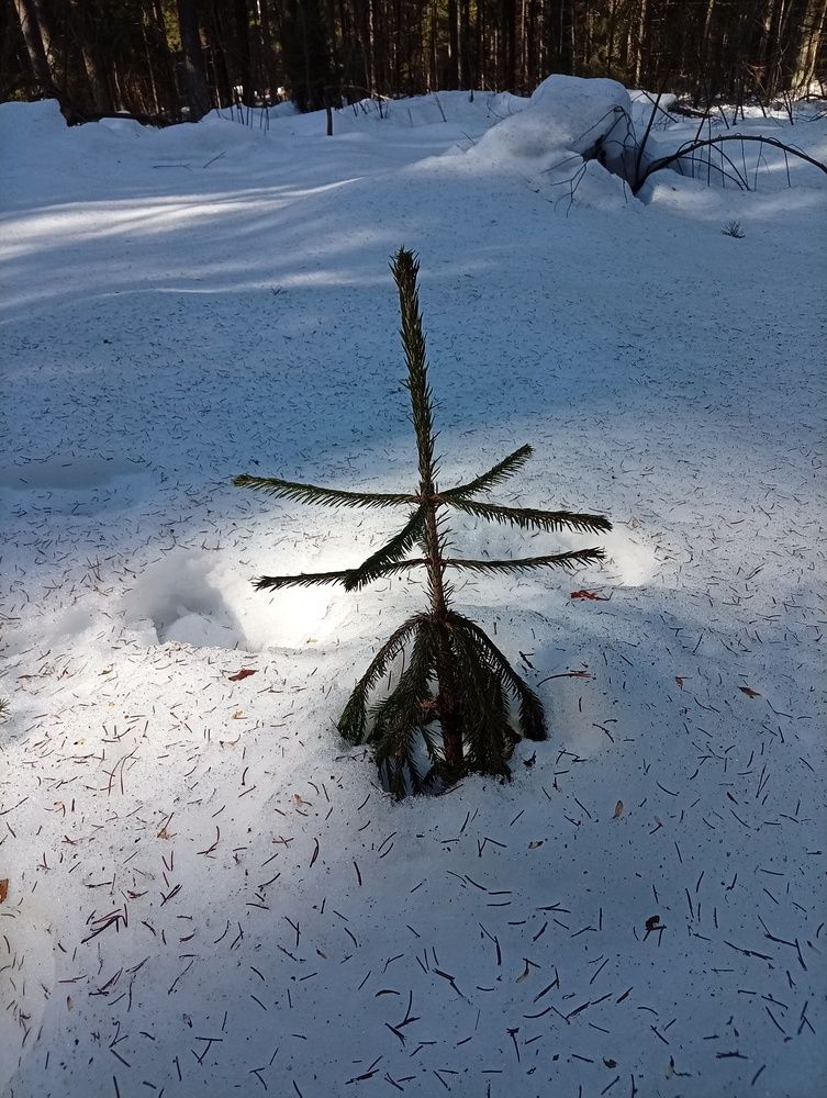 Photograph by Елена Малкова