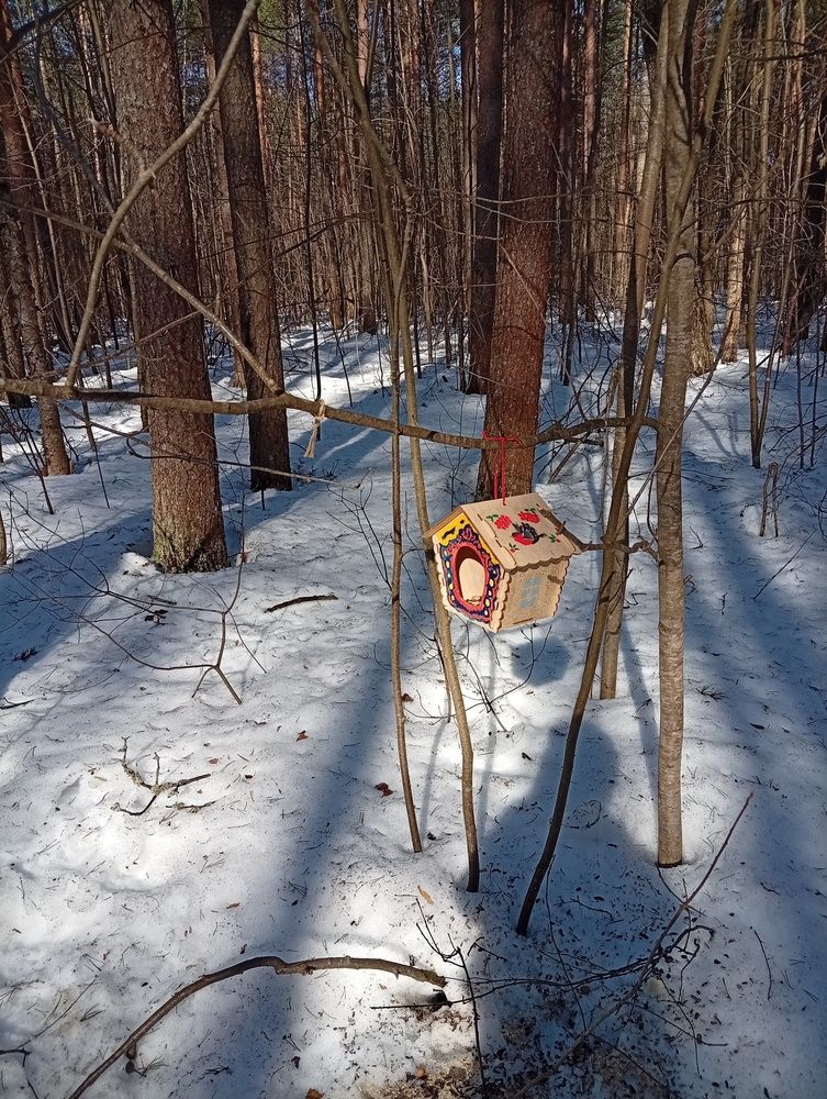 Photograph by Елена Малкова