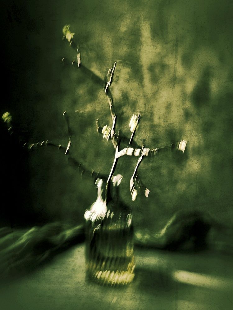 Photograph by Олеся Хижко