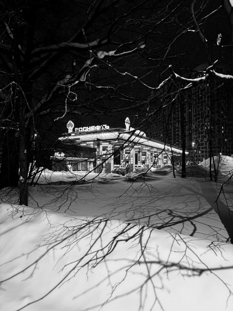 Фотография автора Наталья Виноградова