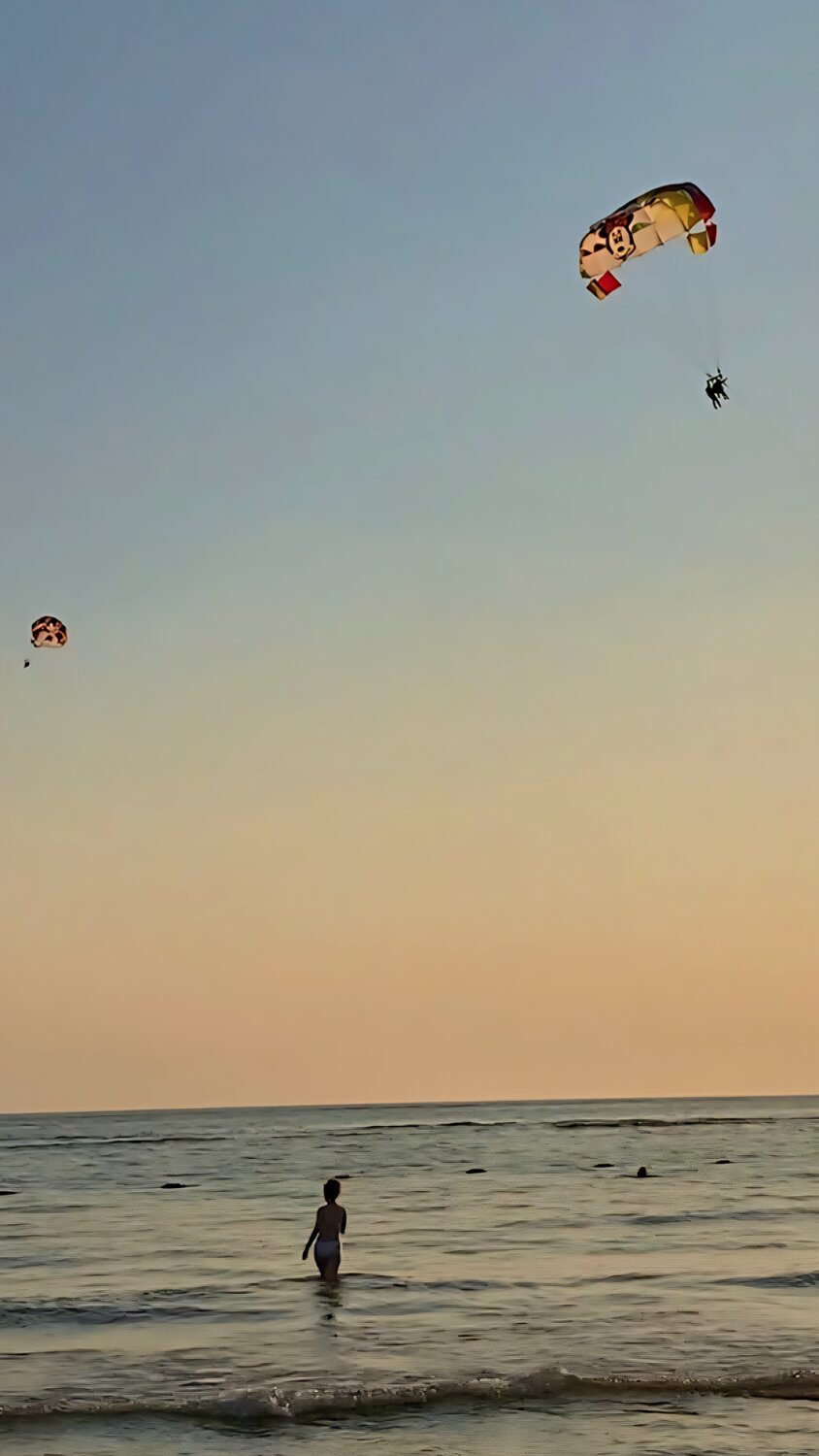 Photo #13472602