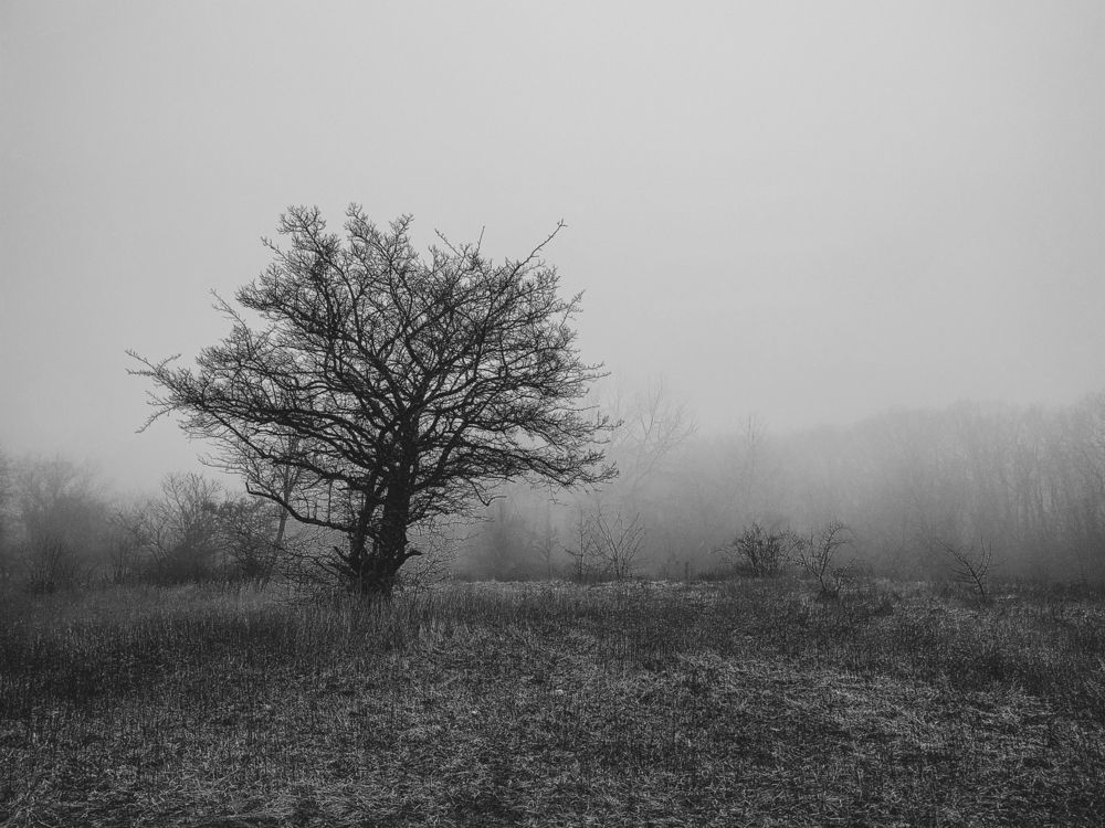 Photograph by Виталий Маслов