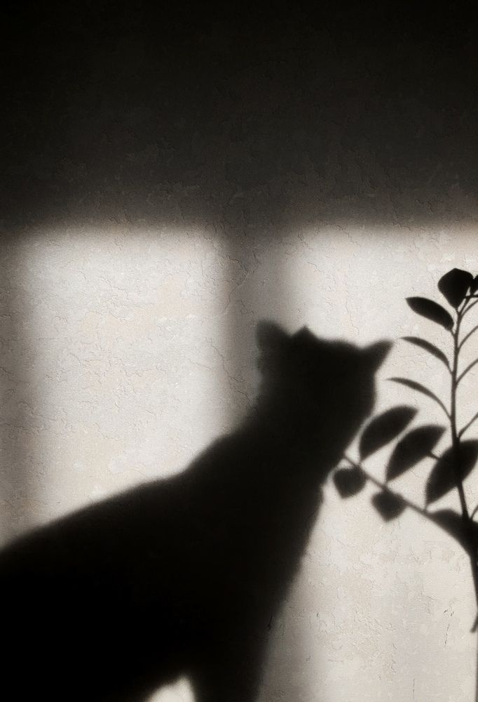 Photograph by Анна Якубинас