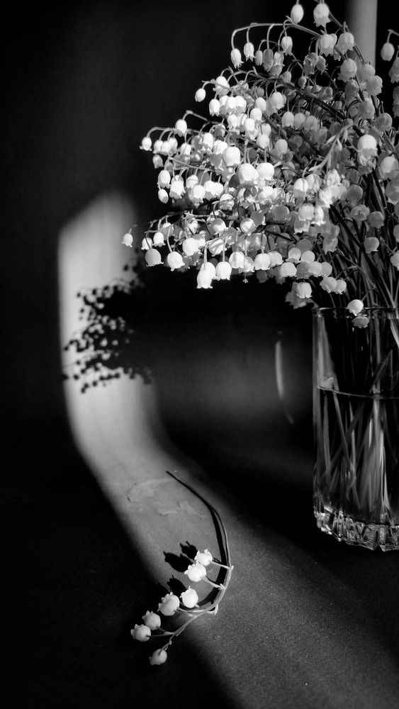 Photograph by Васильева Дарья