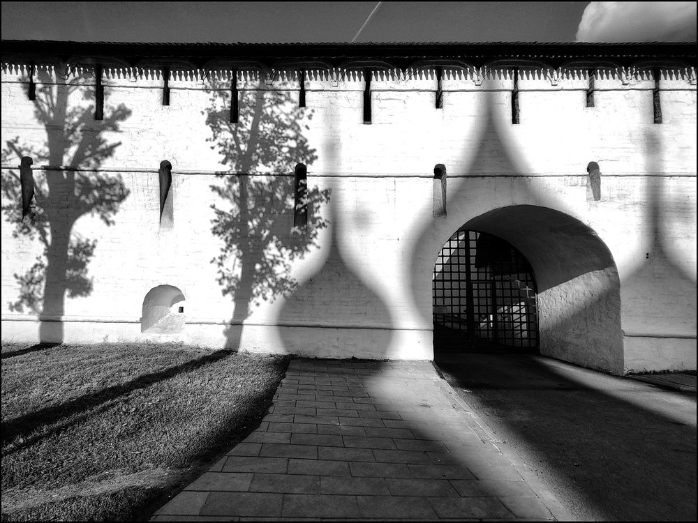 Photograph by Васильева Дарья