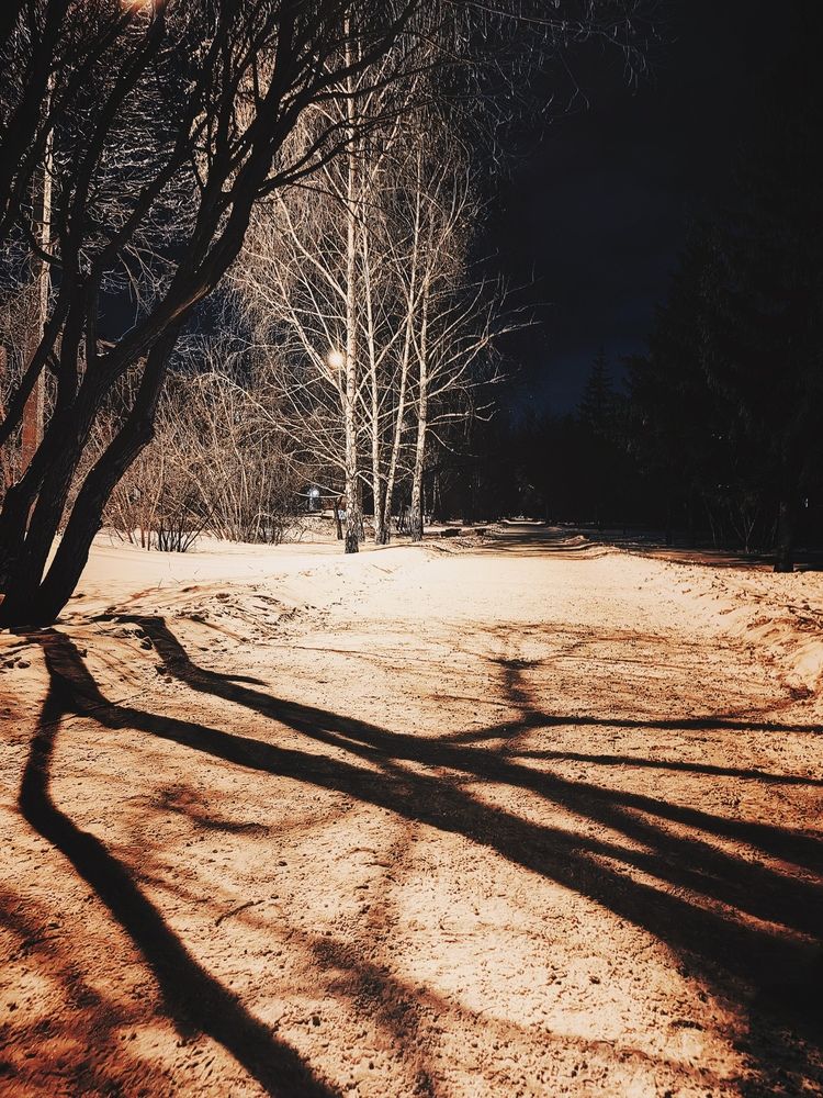 Photograph by Арина Черникова