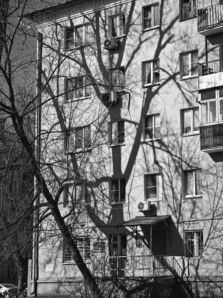 Photograph by Вячеслав Щёголев