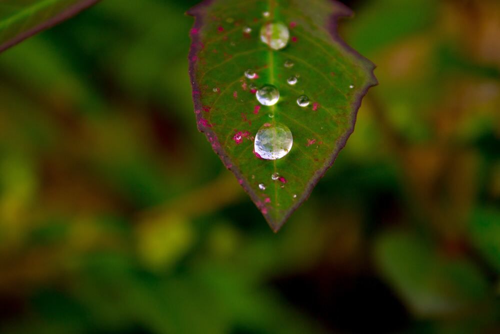 Photograph by Denis Dias Bezerra
