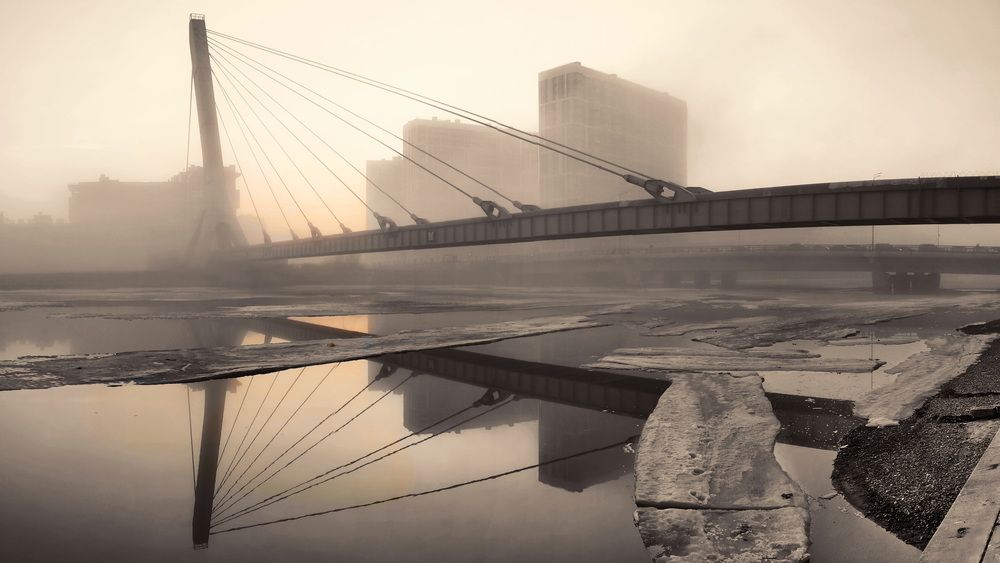Фотография автора Анатолий Дауров