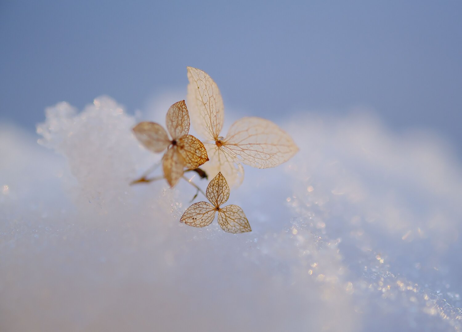 Photo #13472922