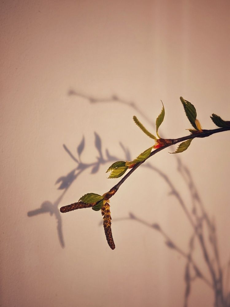 Photograph by Татьяна Соколовская