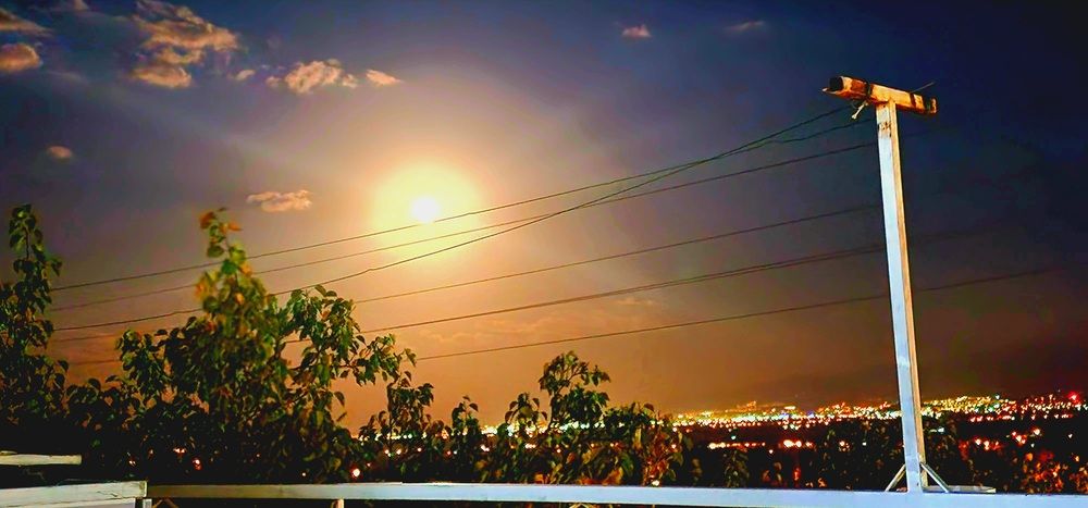 Photo #13472975