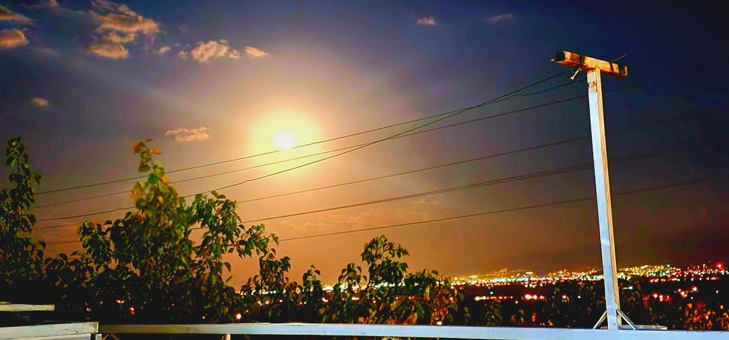 Photo #13472975
