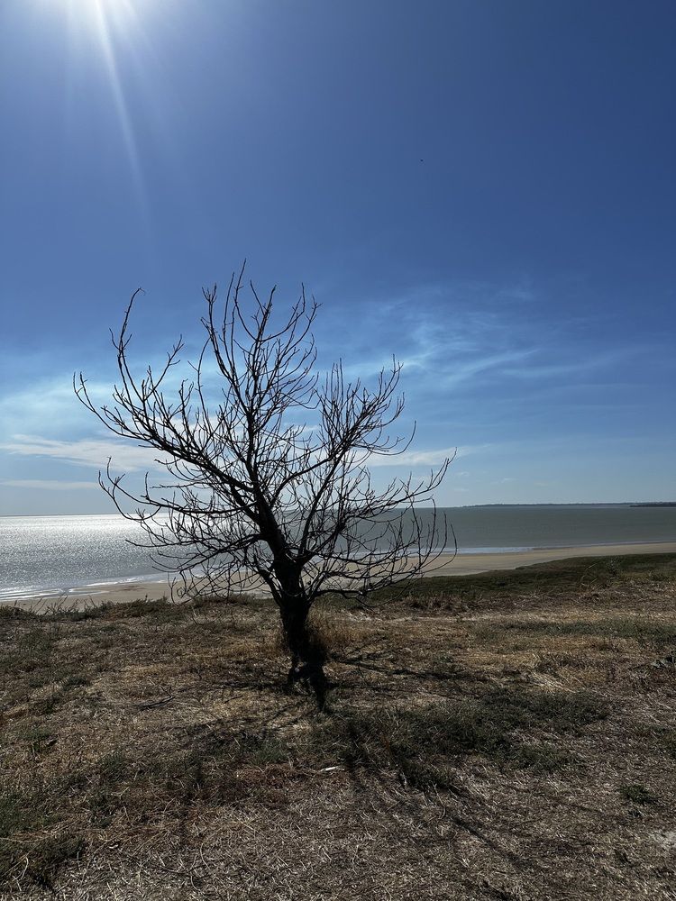 Photograph by Юлия