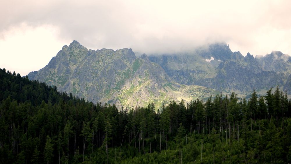Photograph by Алексей Макаров
