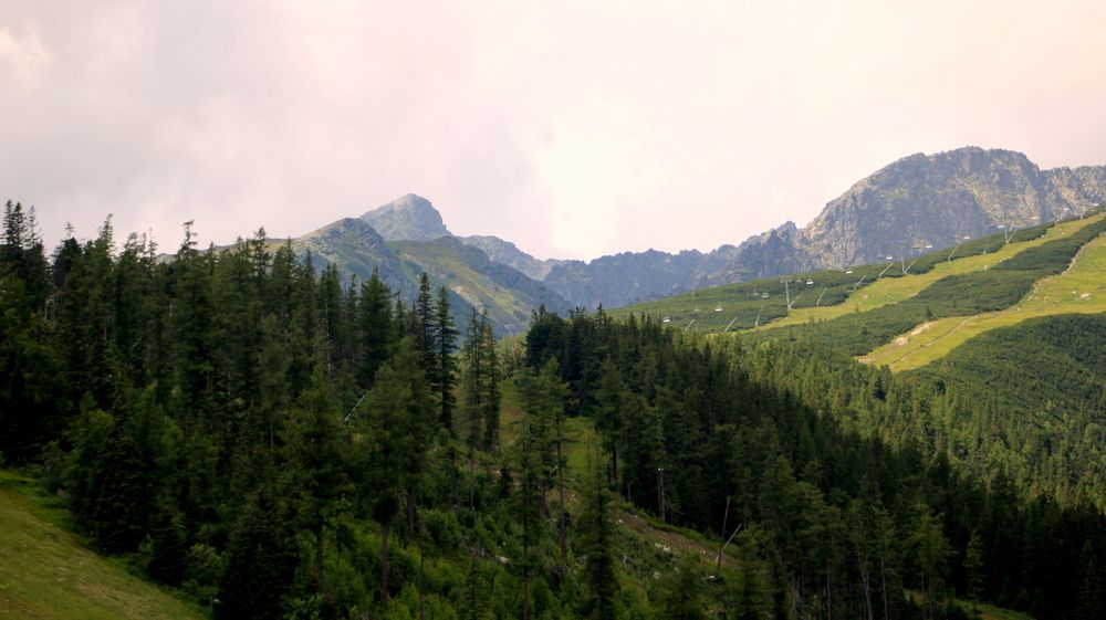 Photograph by Алексей Макаров