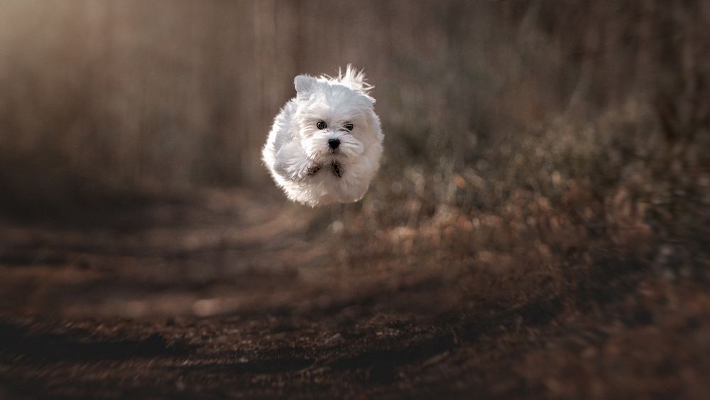 Photograph by Оксана Серова