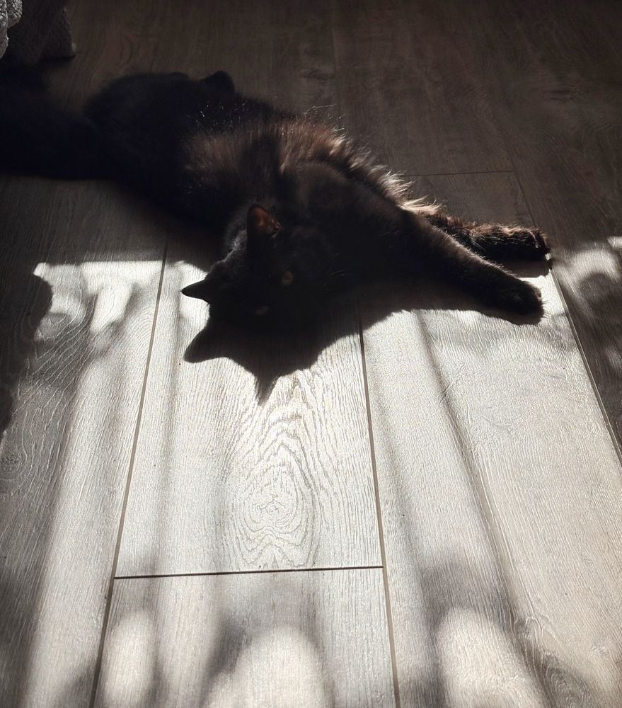 Фотография автора Catherine Shashkova