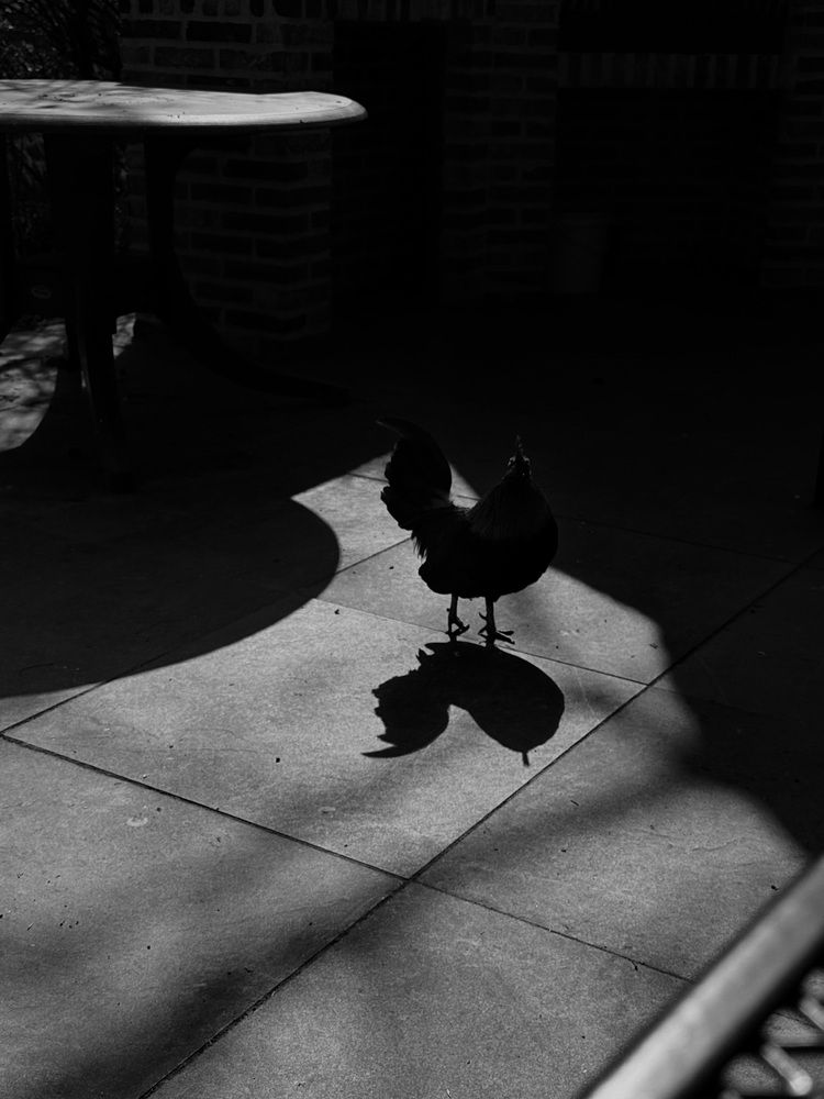 Photograph by Юлия Зырина