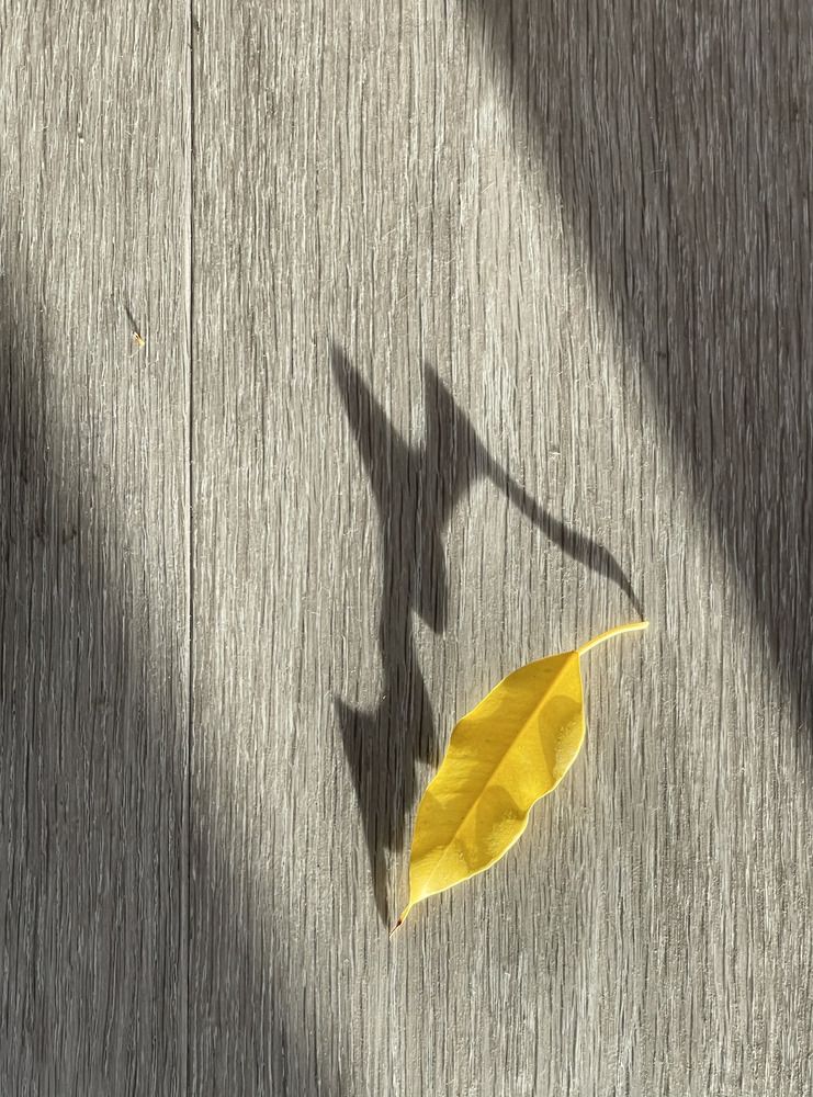 Photograph by Анастасия