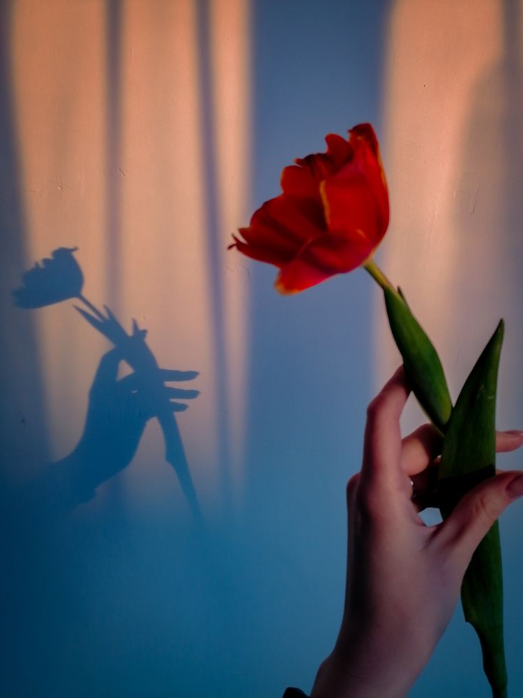 Photograph by Людмила Платонова