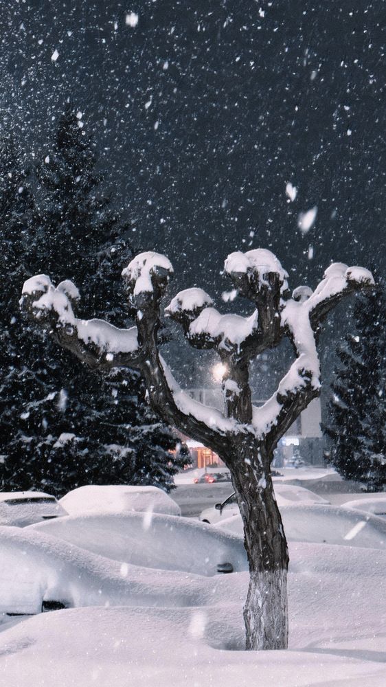 Ночной снегопад