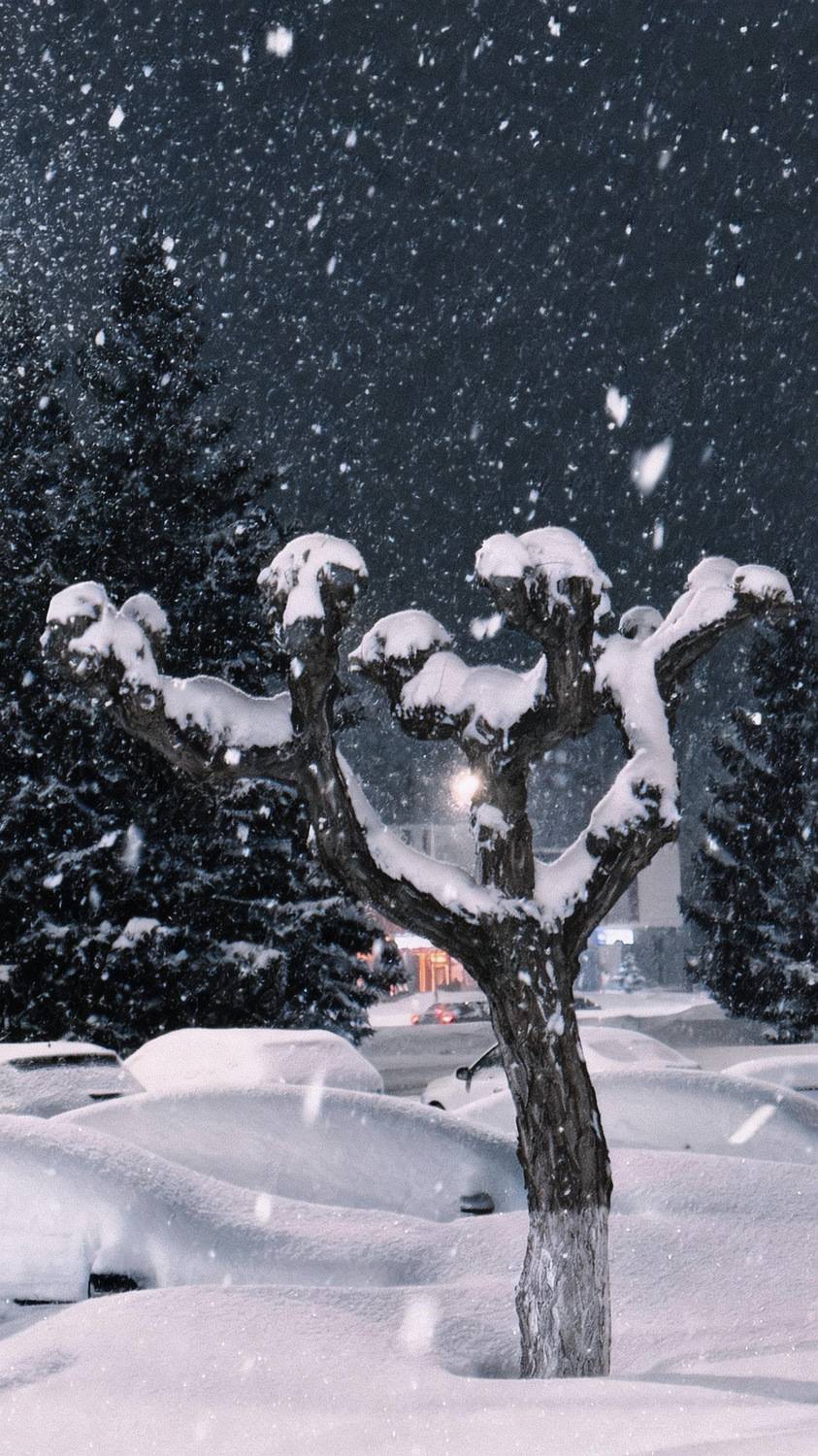 Ночной снегопад