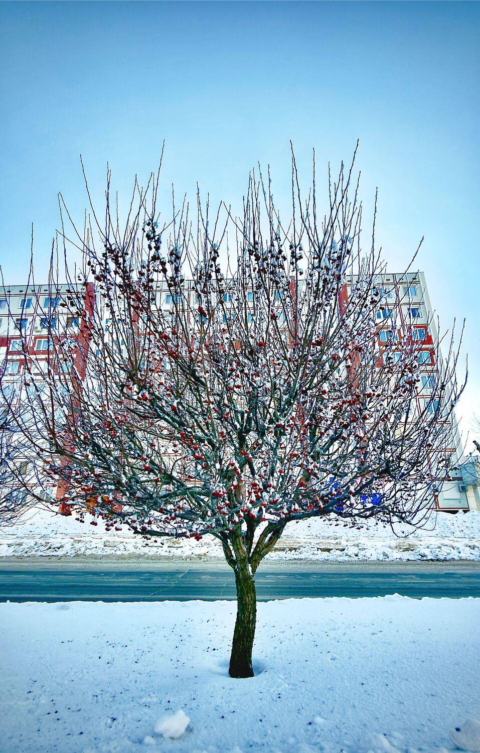 Просто зима