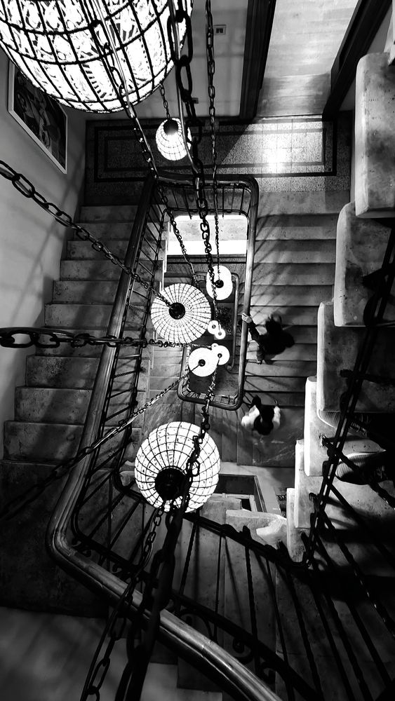 Photograph by Alaa Nour
