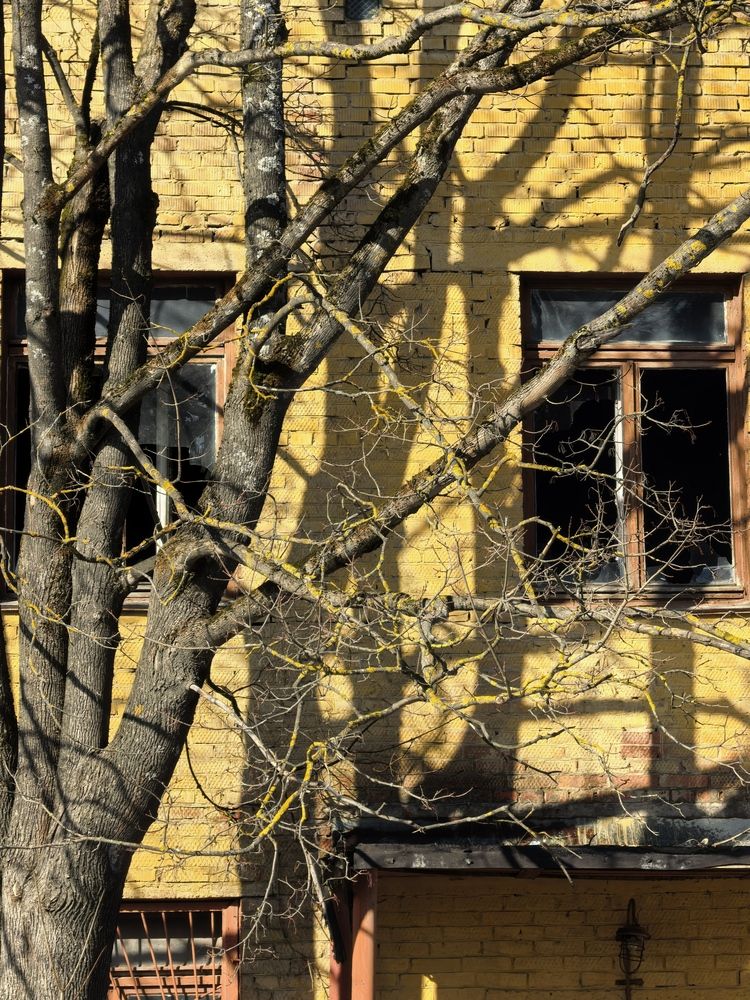 Photograph by Елена Охапкина