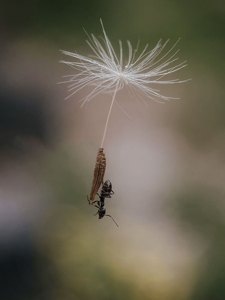 Photograph by Андрей Васильев