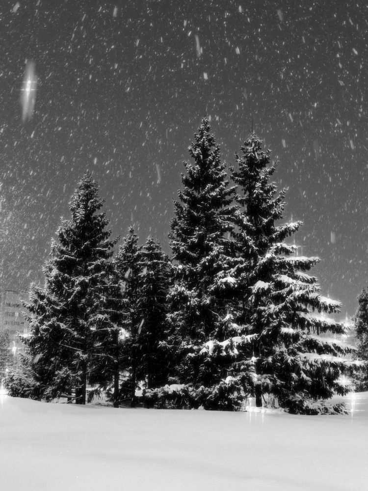 Ночь в снегу